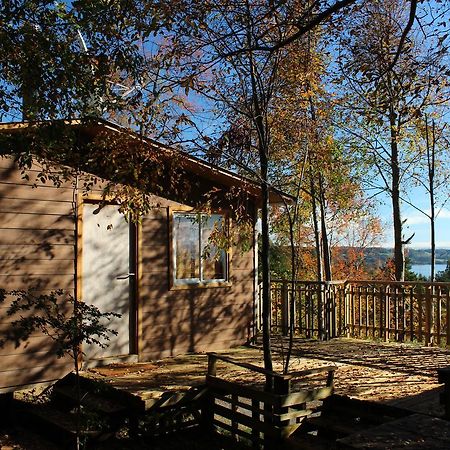 Cabanas Mas Ke Miel Población Población Lago Ranco Exterior foto