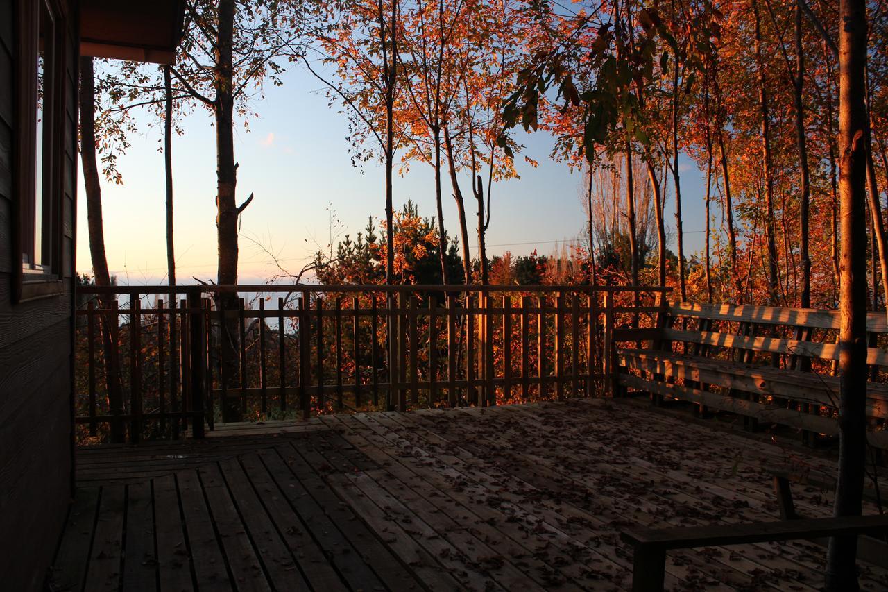 Cabanas Mas Ke Miel Población Población Lago Ranco Exterior foto